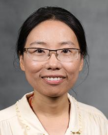 Dr. Haiwei Lu